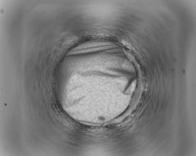 X0000088061153200706011441
