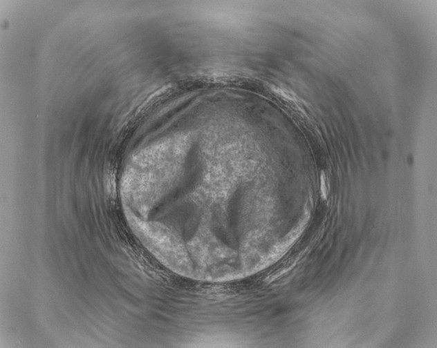 X0000088061155200706011441