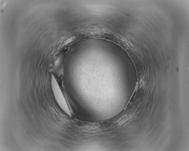 X0000088061156200706011441