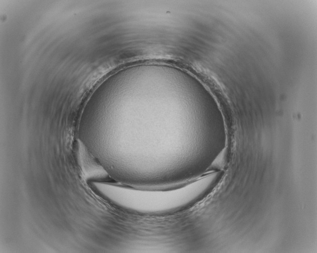 X0000088061169200706011441