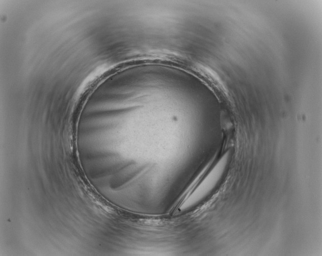 X0000088061172200706011441