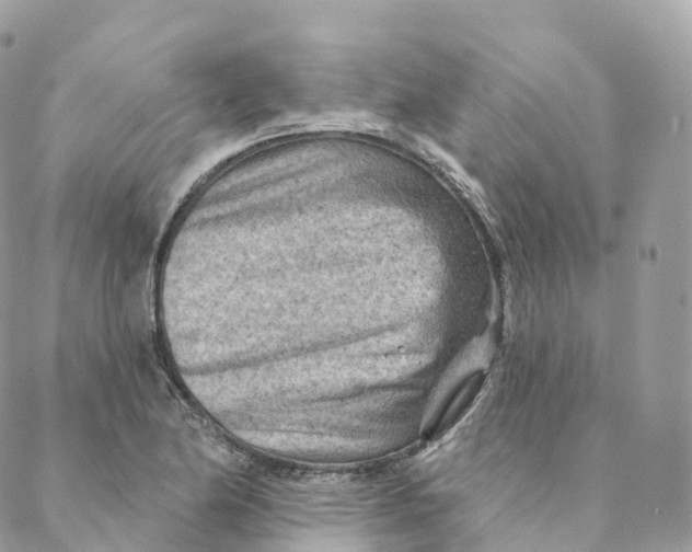 X0000088061174200706011441