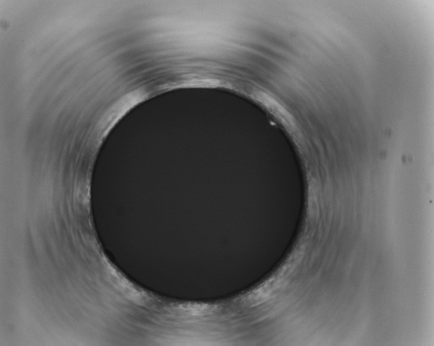 X0000088061193200706011441