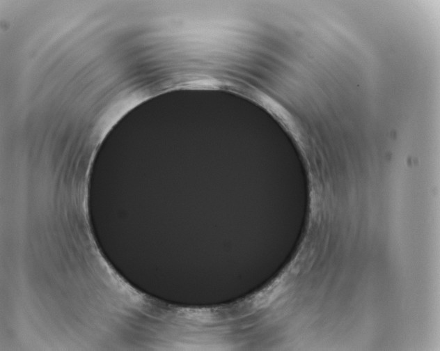 X0000088061194200706011441