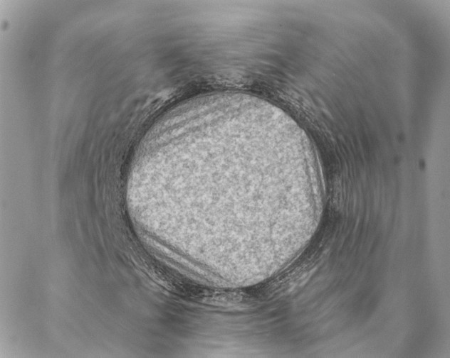 X0000088061201200706011440