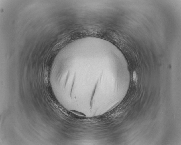 X0000088061203200706011440