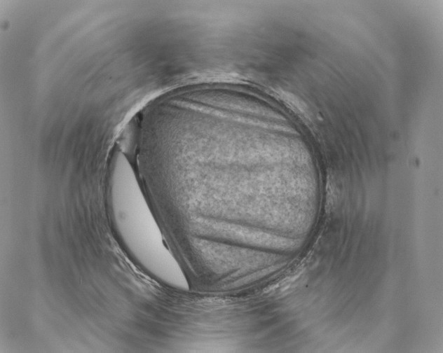 X0000088061212200706011440