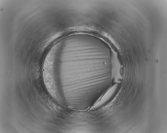 X0000088061213200706011440