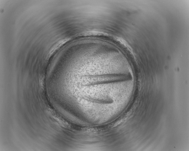 X0000088061217200706011440