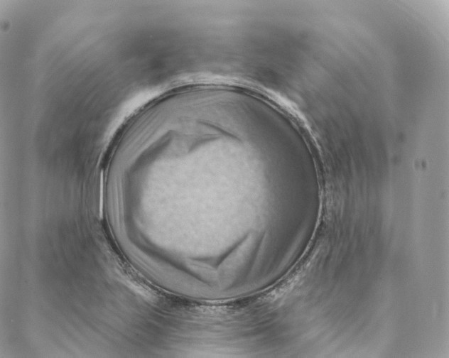 X0000088061223200706011440