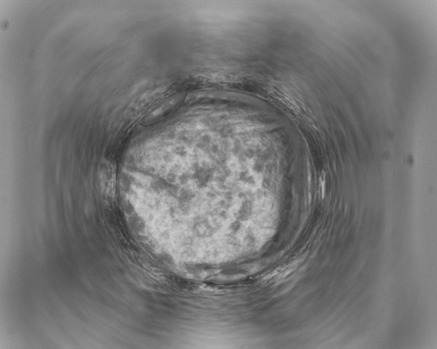 X0000088061251200706011440