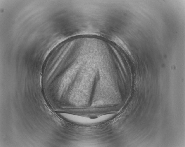 X0000088061268200706011439