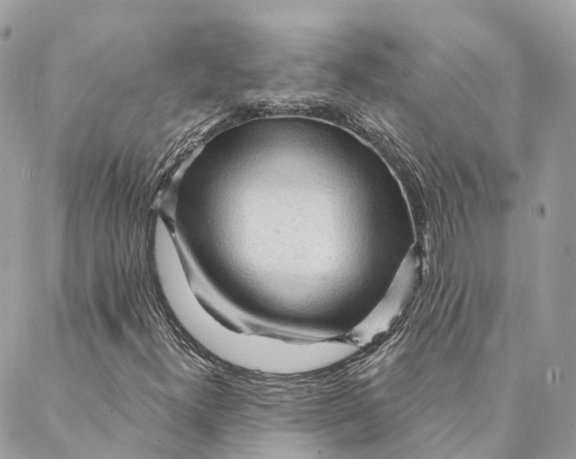 X0000088061300200706011438