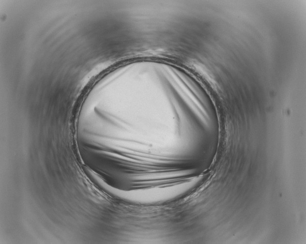 X0000088061308200706011438