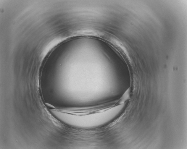 X0000088061328200706011439