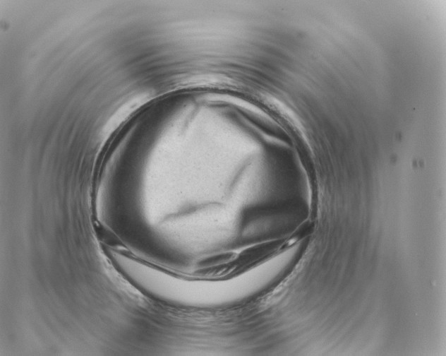 X0000088061330200706011439