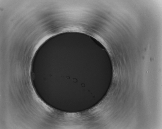 X0000088061339200706011439