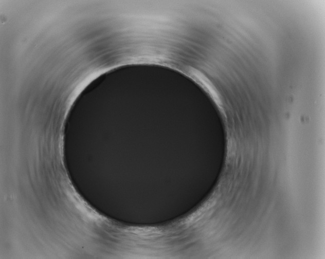 X0000088061340200706011439