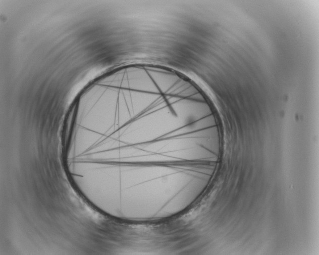 X0000088061341200706011439