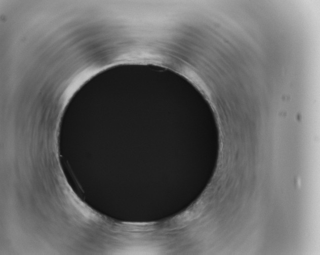 X0000088061344200706011439