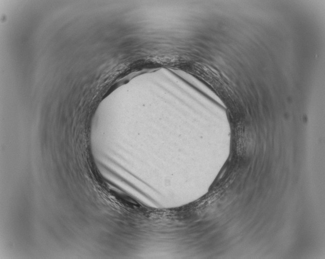 X0000088061345200706011438