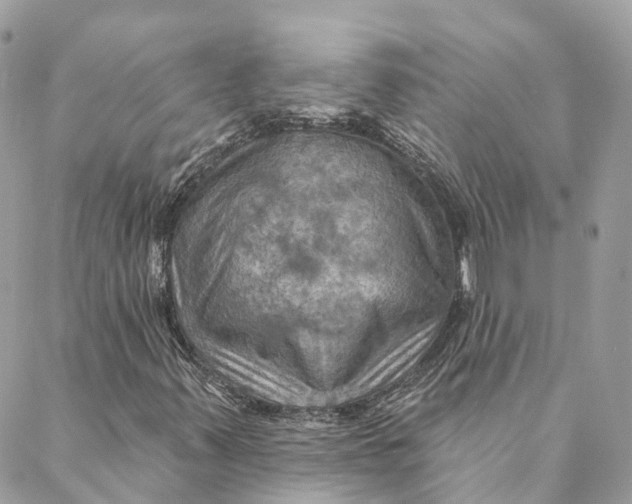 X0000088061347200706011438