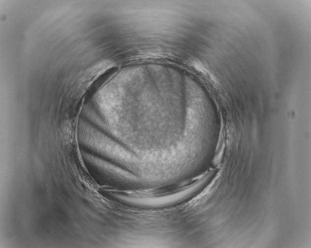 X0000088061353200706011438