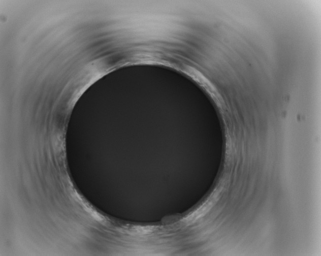 X0000088061385200706011438