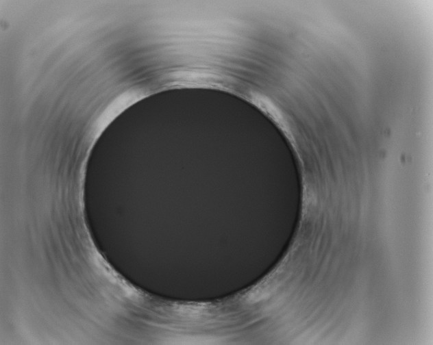 X0000088061386200706011438
