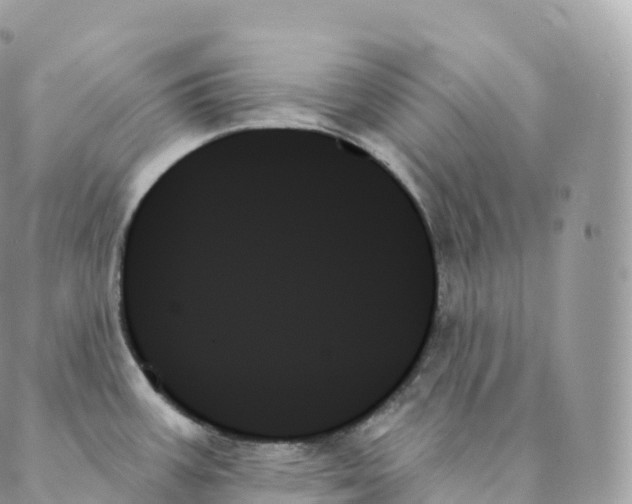 X0000088061387200706011438