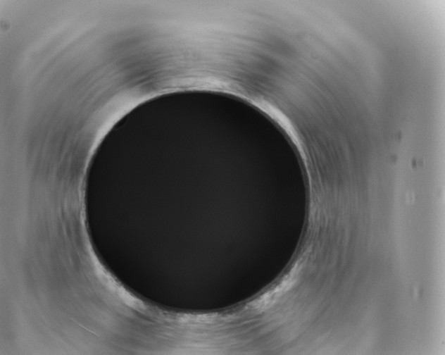 X0000088061389200706011438
