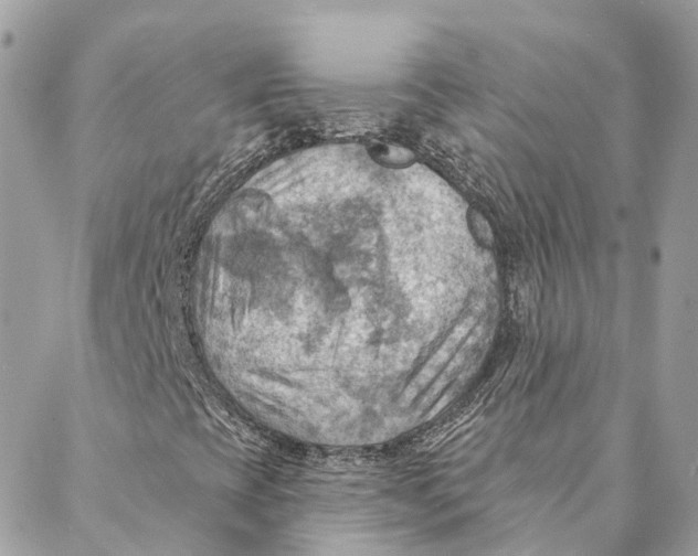 X0000088061393200706011437