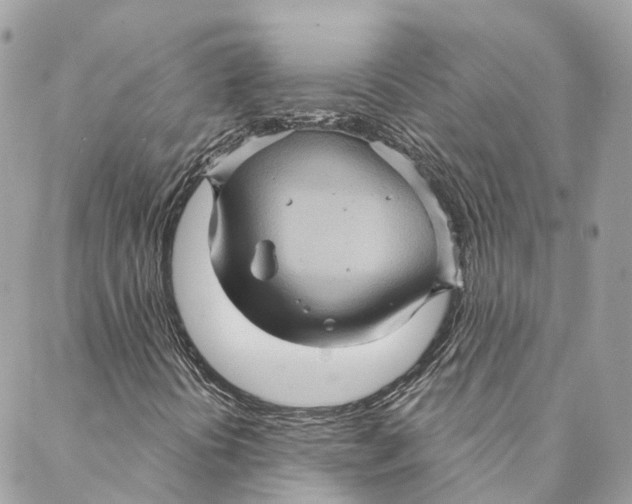 X0000088061394200706011437