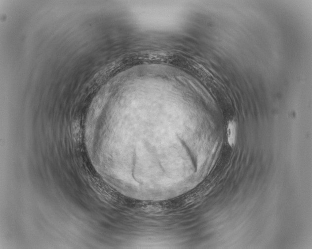 X0000088061395200706011437