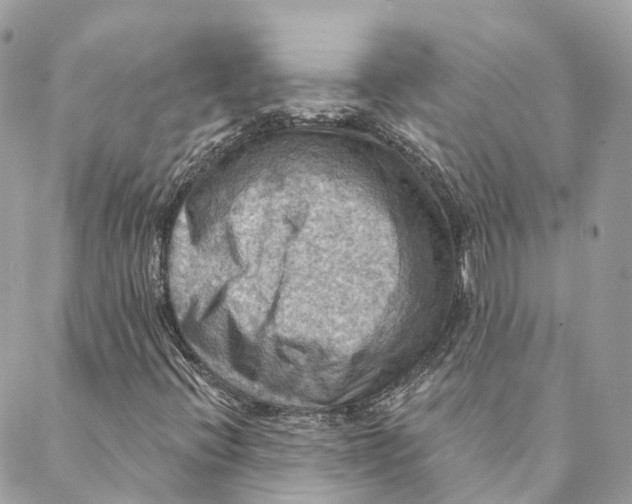 X0000088061396200706011437
