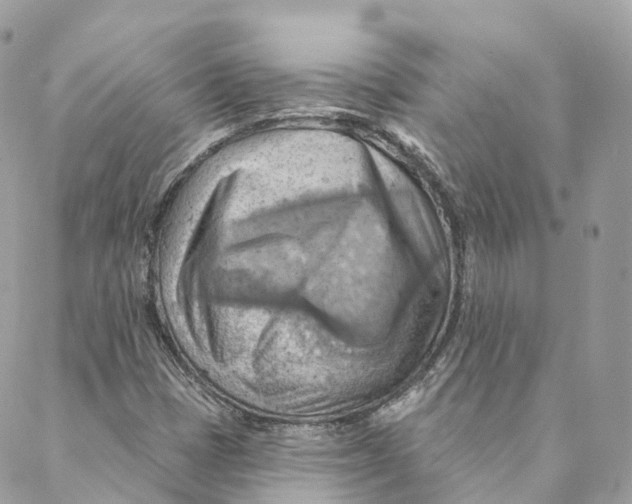 X0000088061401200706011437