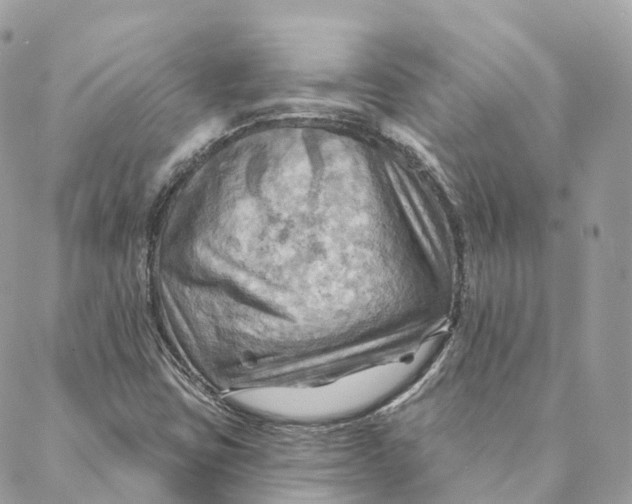 X0000088061403200706011437
