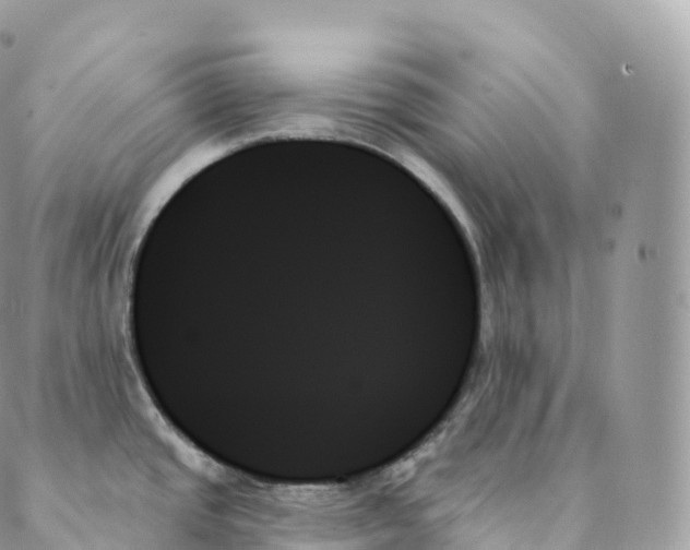 X0000088061437200706011437