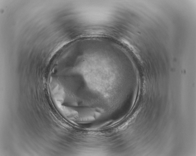 X0000088061449200706011437