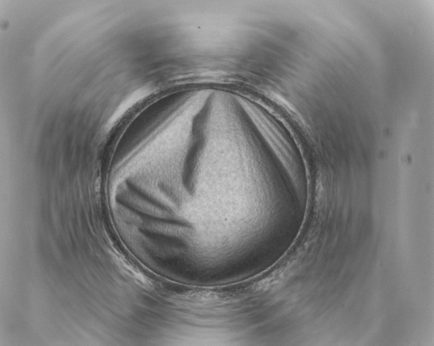 X0000088061450200706011437