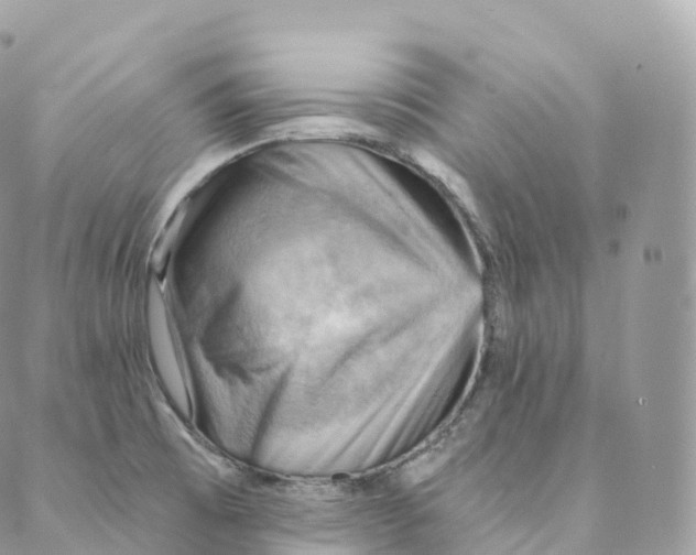 X0000088061473200706011436
