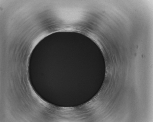 X0000088061483200706011436