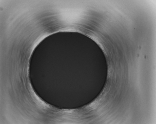 X0000088061484200706011436
