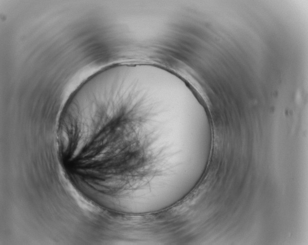 X0000088061485200706011436