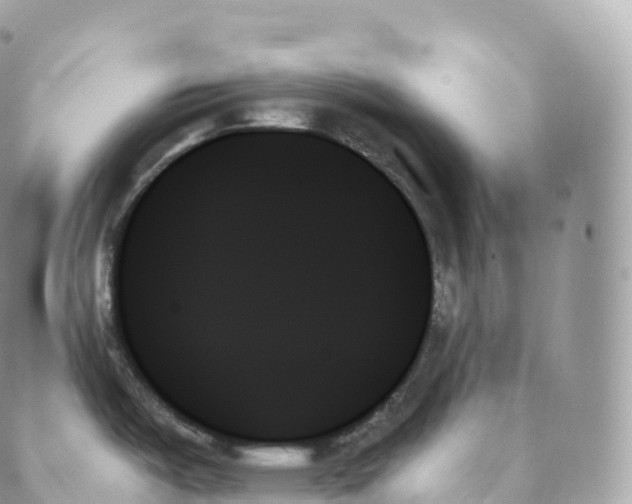 X0000088061487200706011436