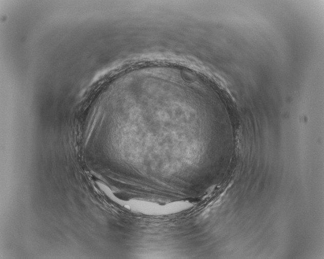X0000088061494200706011435