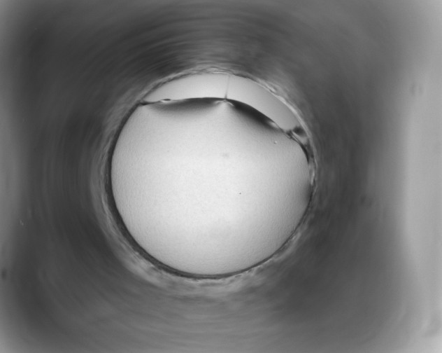 X0000088060001200706081659