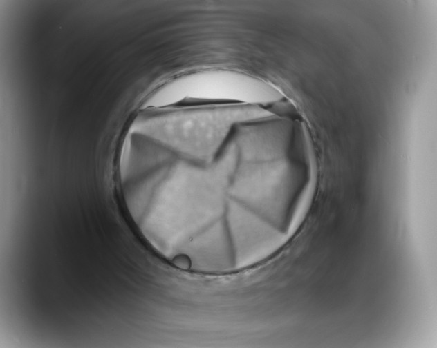 X0000088060002200706081659