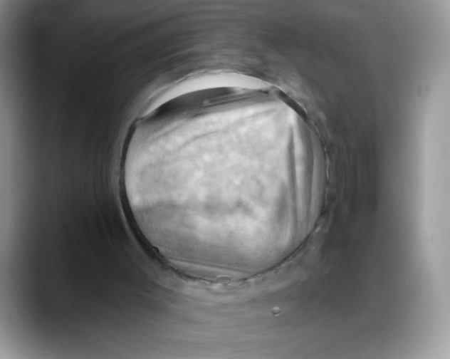 X0000088060003200706081659