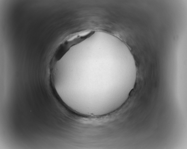 X0000088060005200706081659